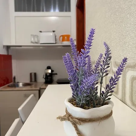 Апартаменты Kenza Apartmans *
